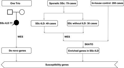 Exome sequencing link mutation in RGPD4 with systemic sclerosis-associated interstitial lung disease and the low level of testosterone—an exploration study